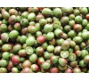 Actinidia arguta / Мини киви